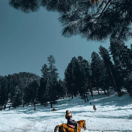 Apartmán Noa - Milmari